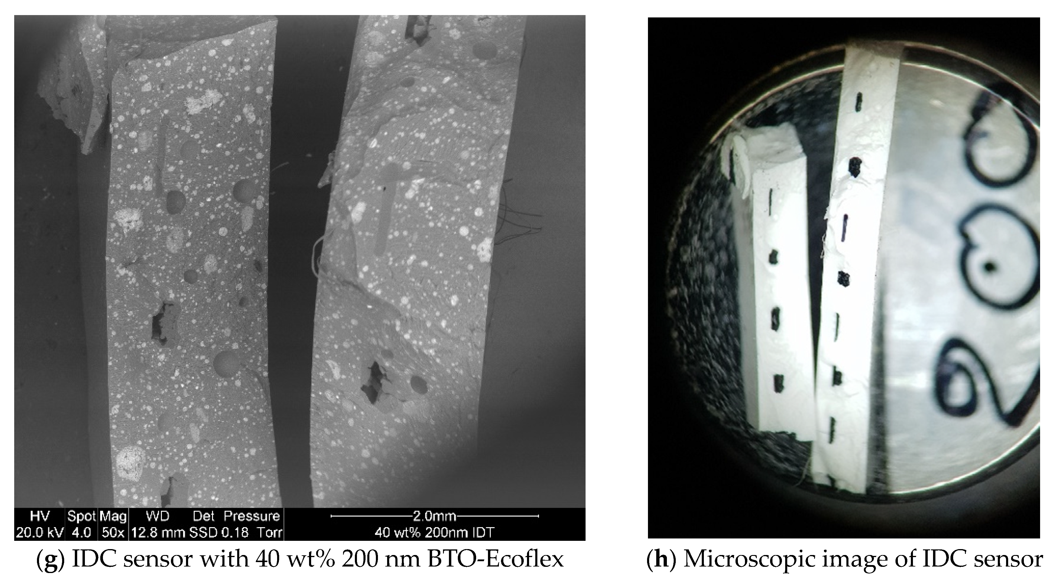 Robotics 10 00069 g011b