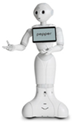 Robotics 10 00106 i001
