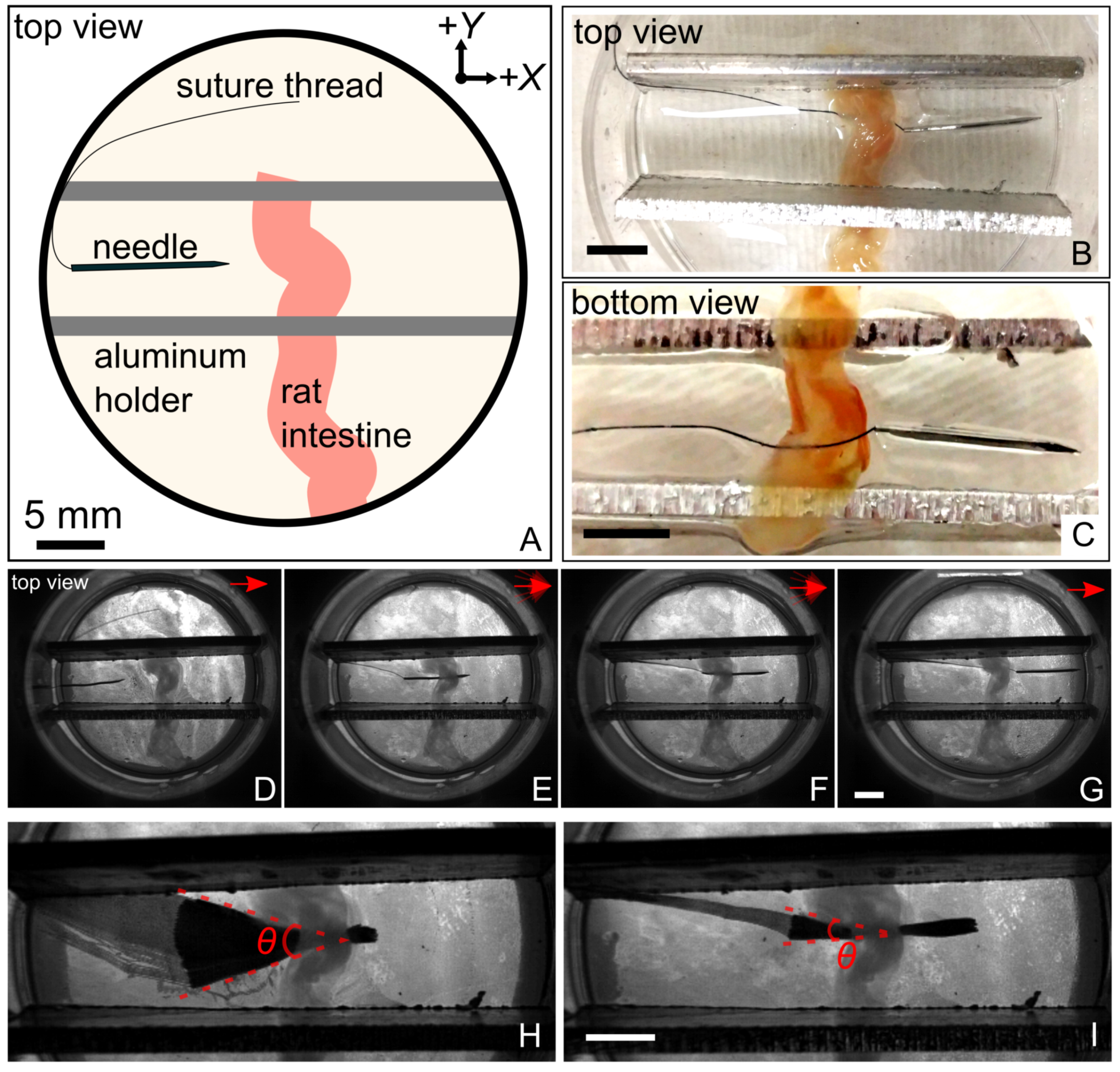 Robotics 10 00129 g005