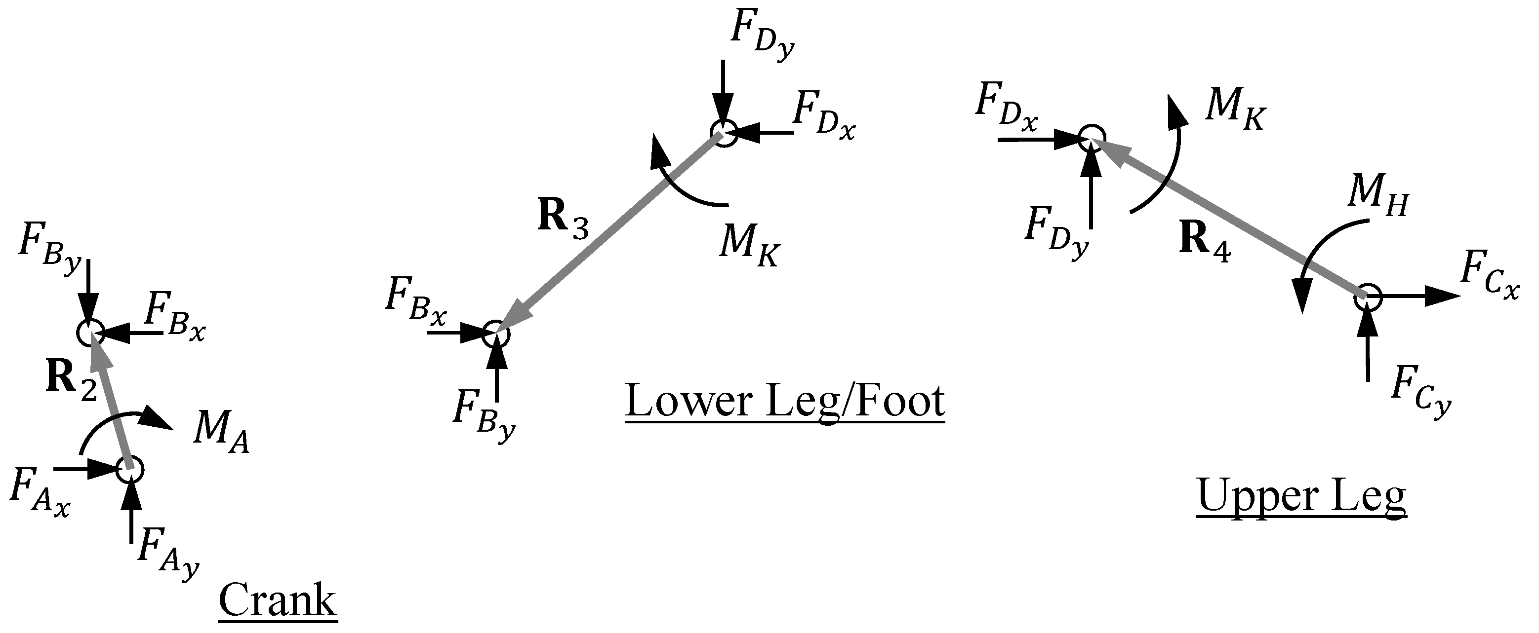Robotics 11 00026 g003