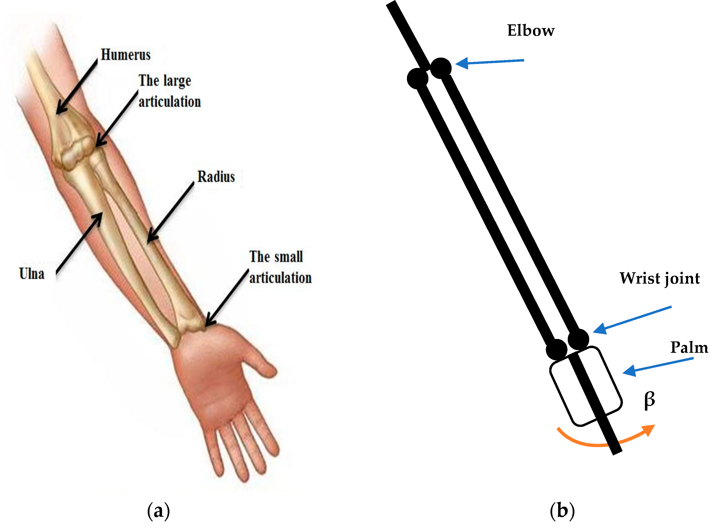 Robotics 11 00055 g001
