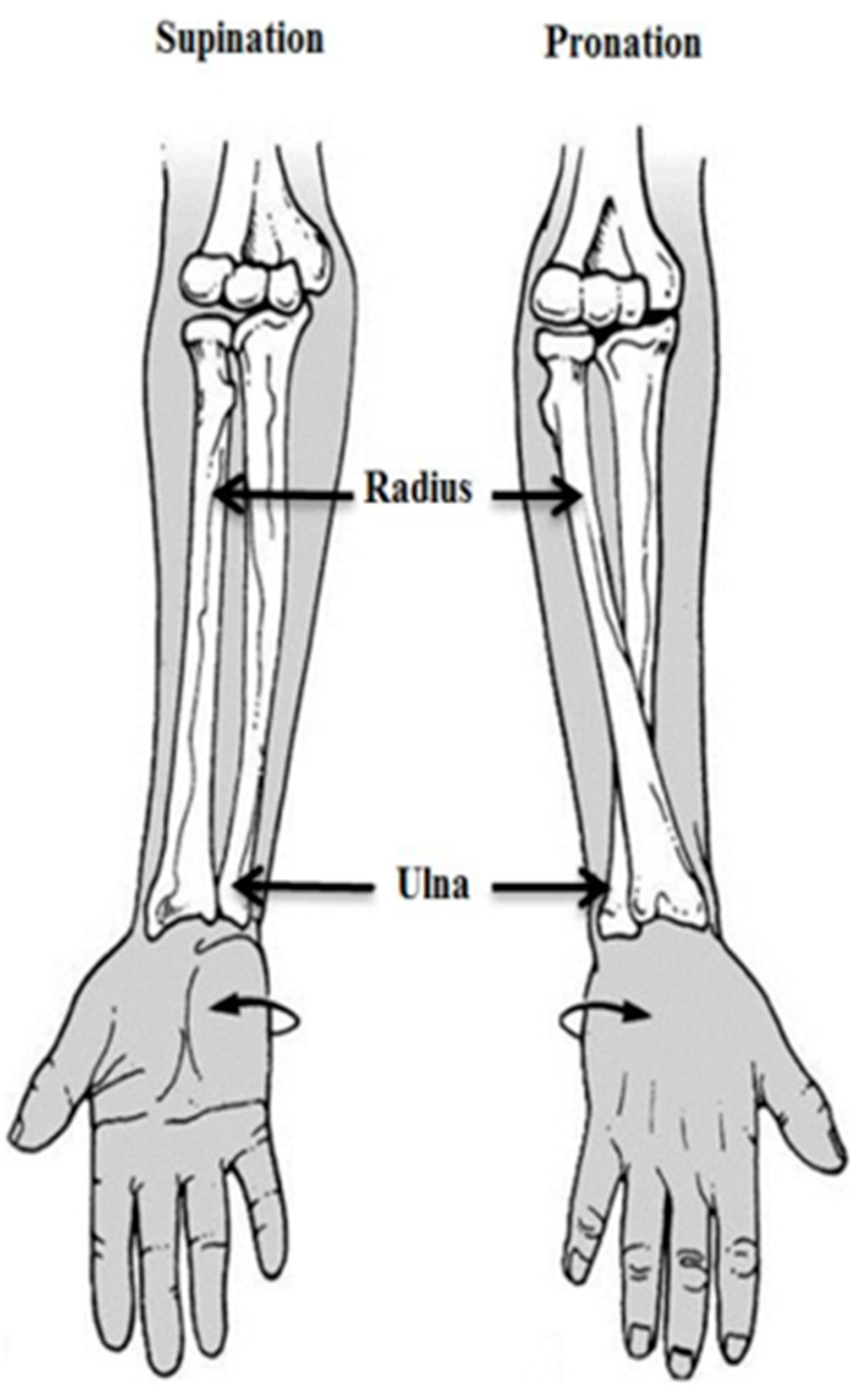 Robotics 11 00055 g002
