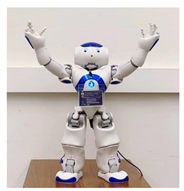 Robotics 11 00096 i011