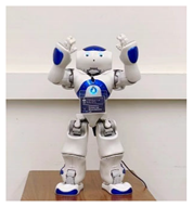 Robotics 11 00096 i012