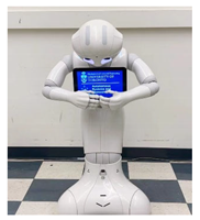 Robotics 11 00096 i013