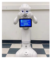 Robotics 11 00096 i015