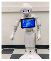 Robotics 11 00096 i016