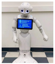 Robotics 11 00096 i017