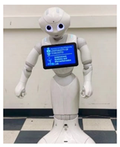 Robotics 11 00096 i018