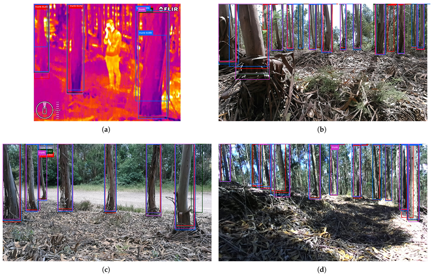 Robotics 11 00136 g004