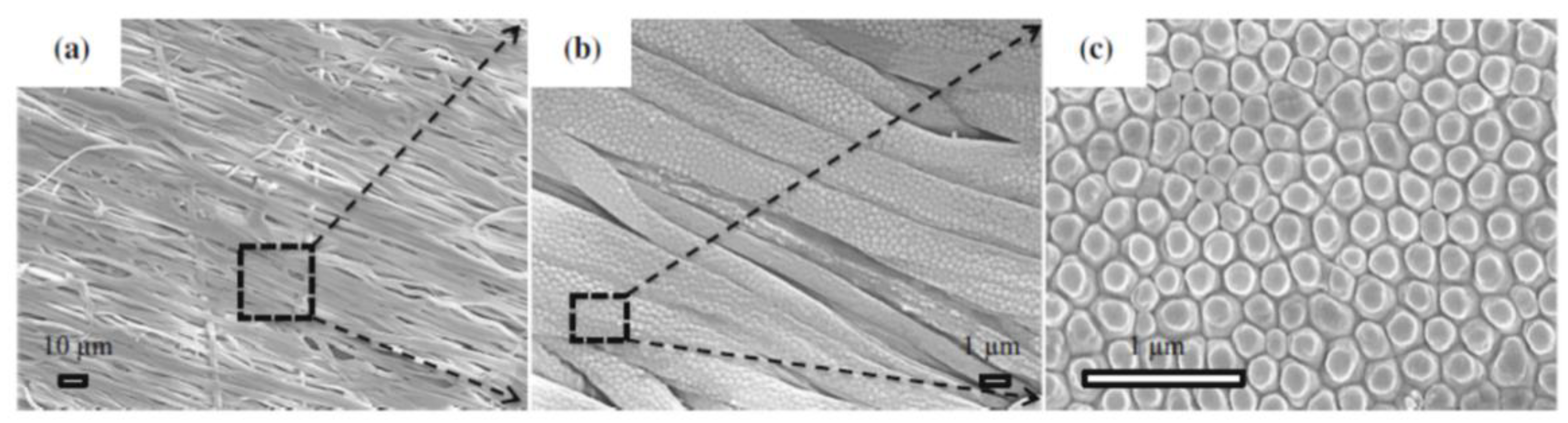 Robotics 11 00143 g013 Robotics 11 00143 g013