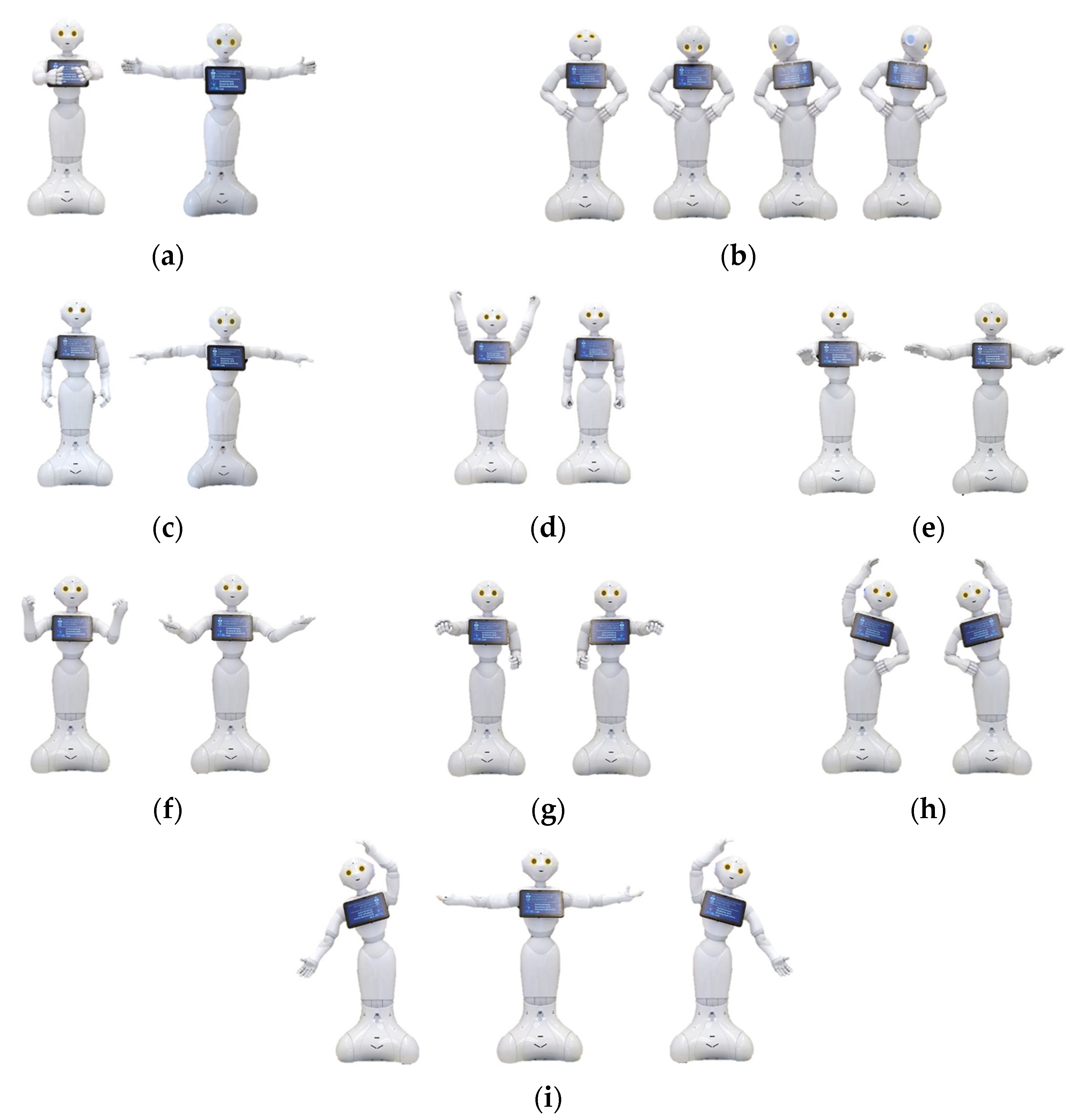 Robotics 12 00009 g001 Robotics 12 00009 g001
