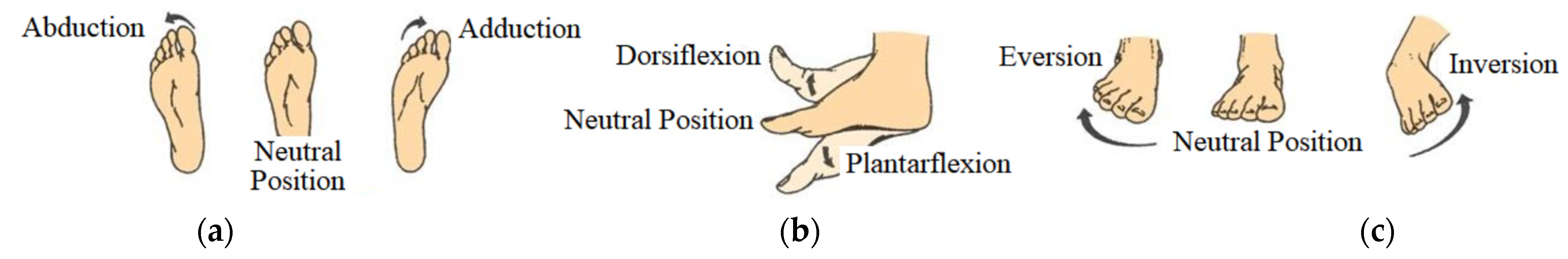 Robotics 12 00032 g001 Robotics 12 00032 g001