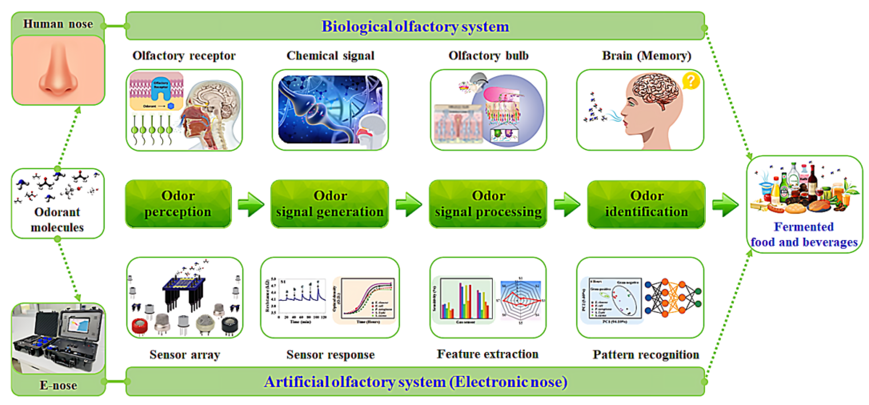 Robotics 12 00068 g003