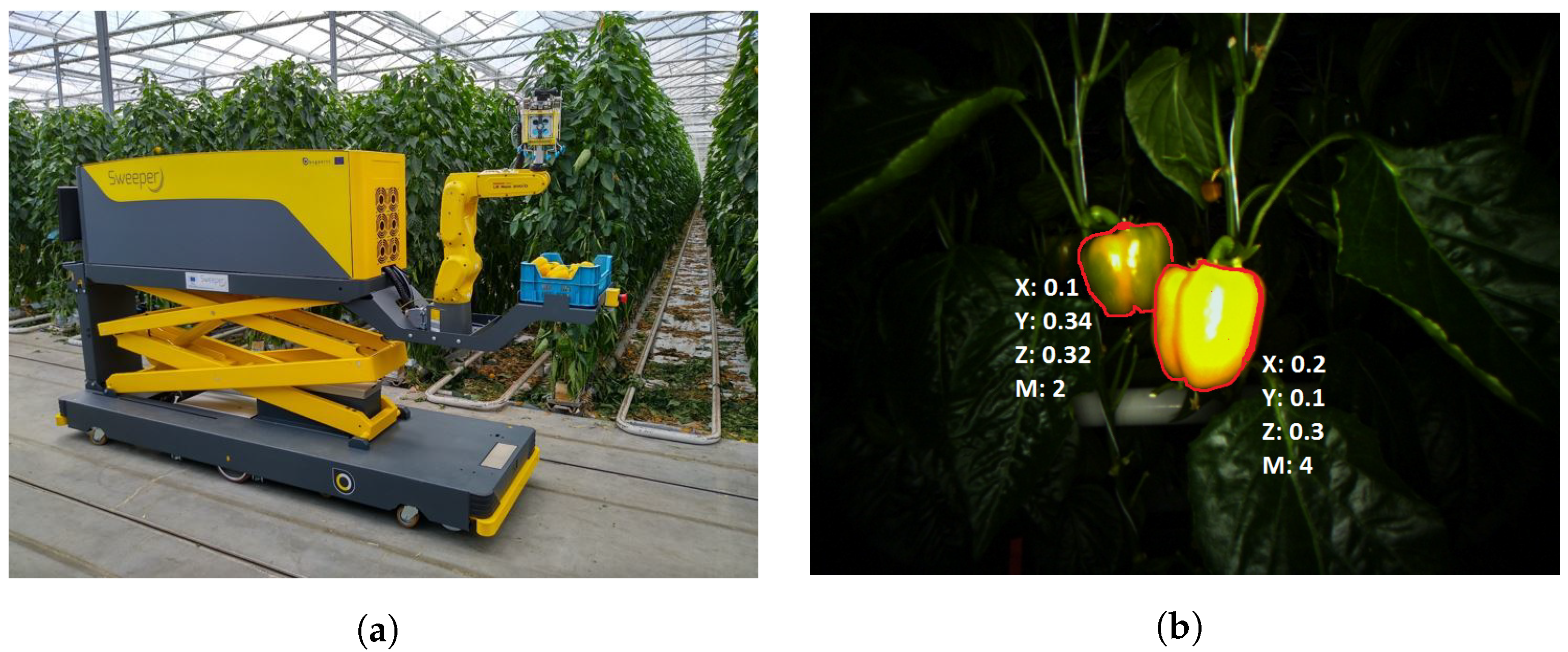 Robotics 12 00139 g006