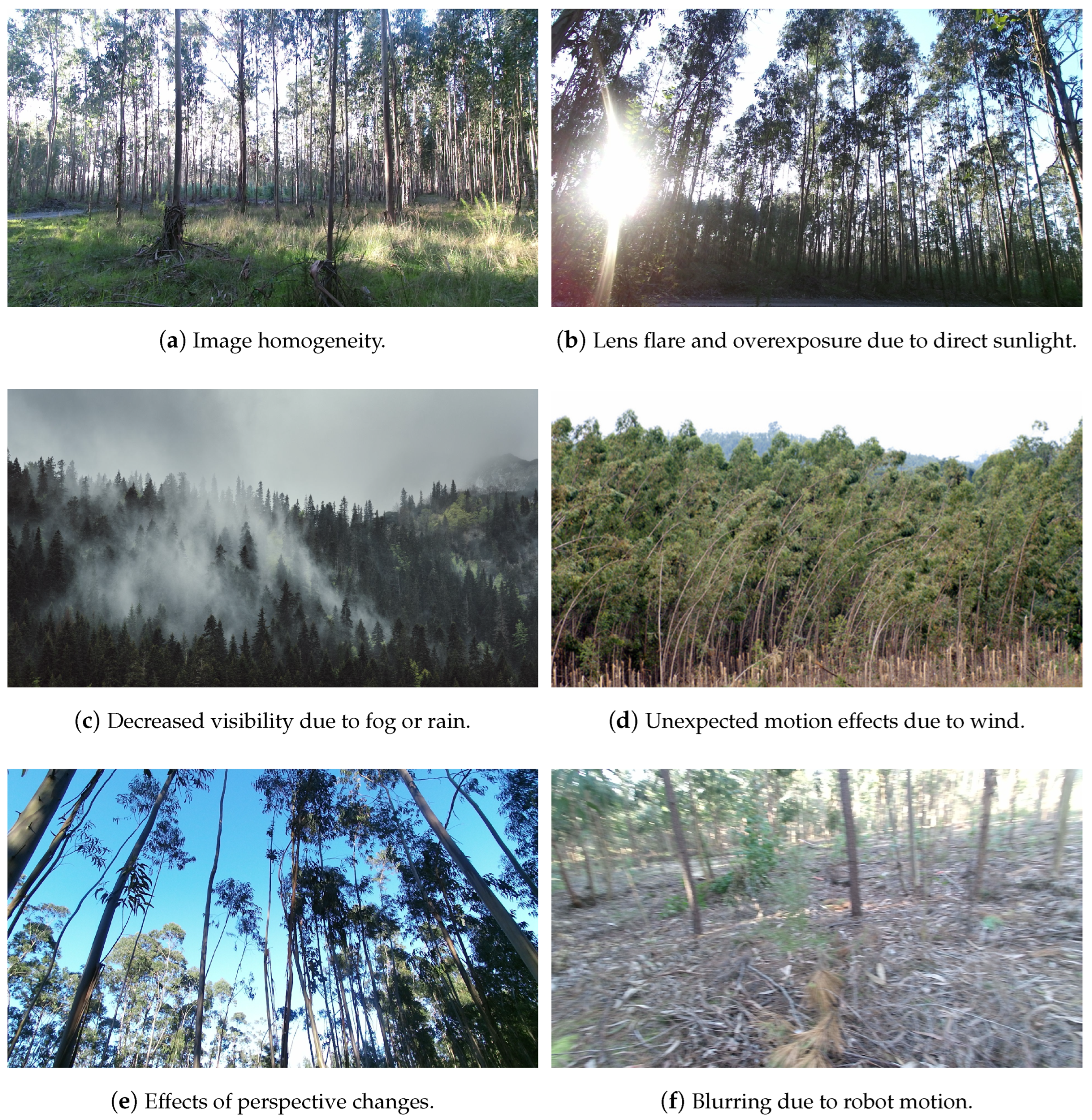 Robotics 12 00139 g007