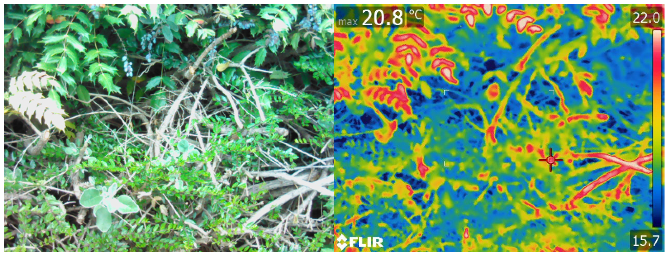 Robotics 12 00139 g008