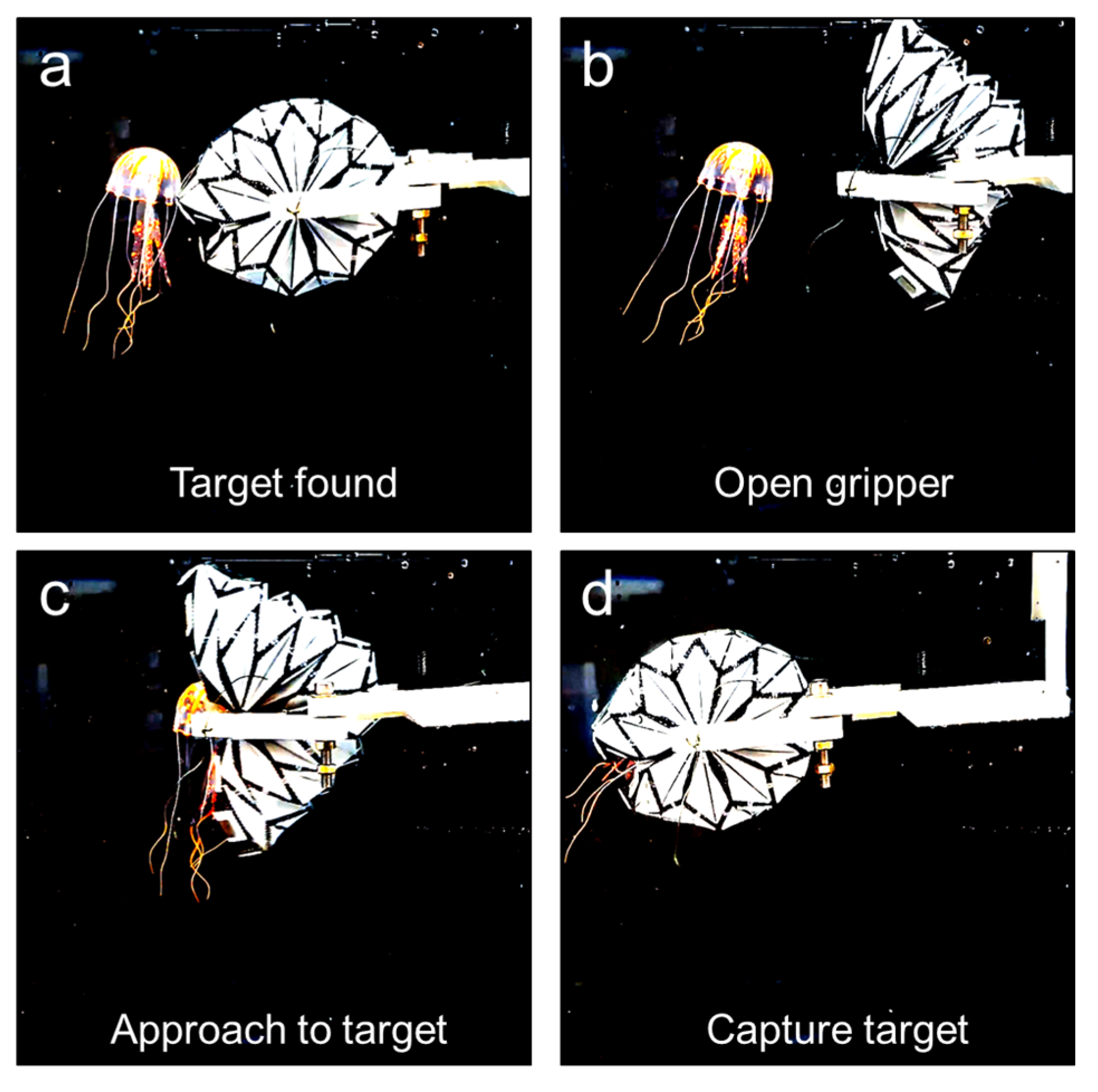 Robotics 12 00150 g008