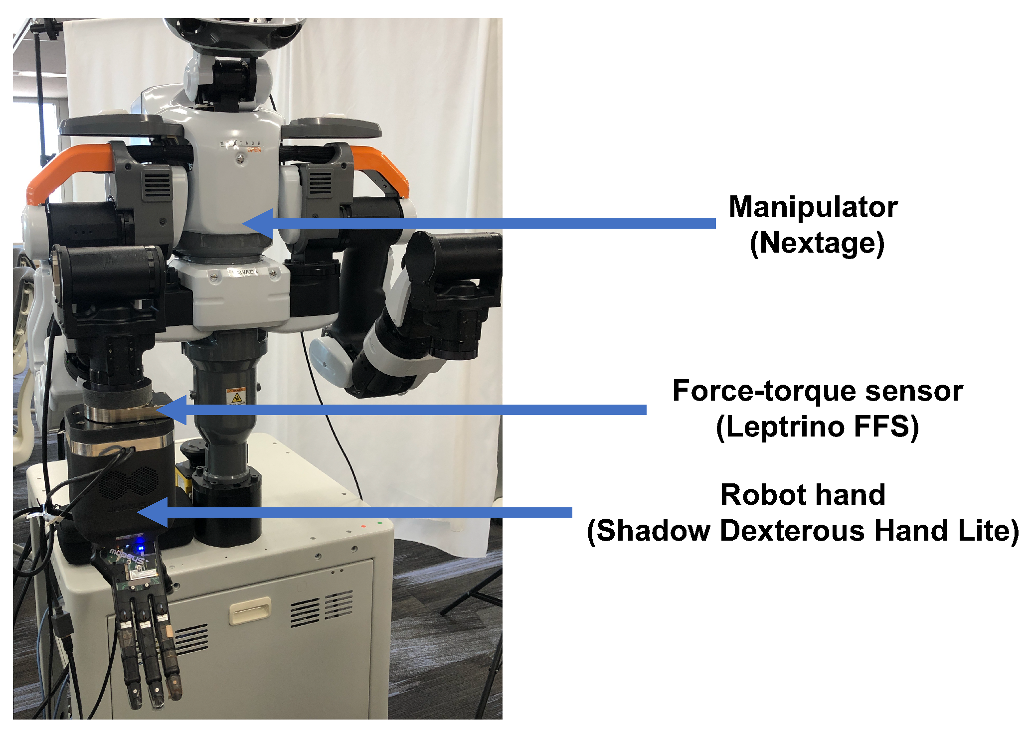 Robotics 13 00008 g006
