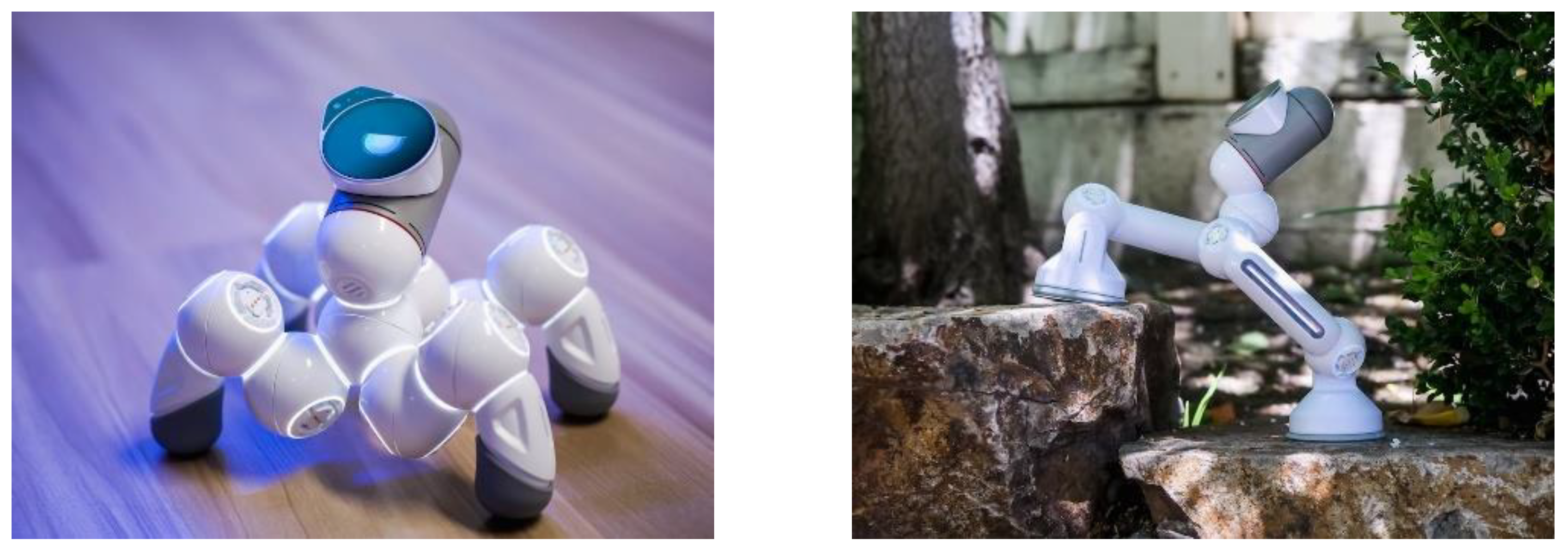 Robotics 13 00012 g003