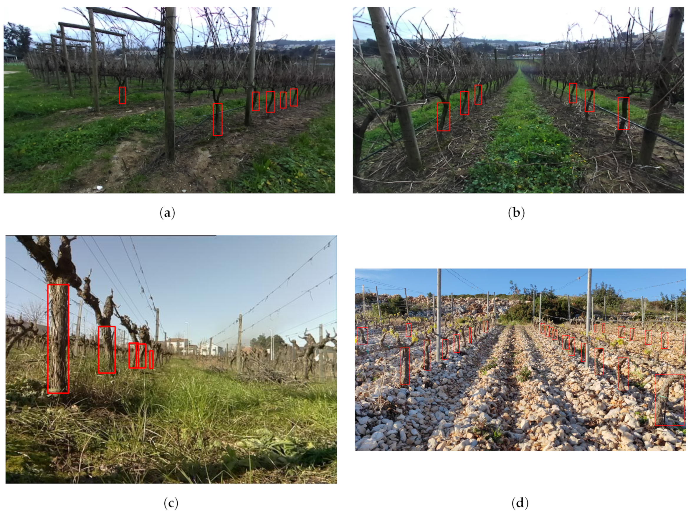 Robotics 13 00020 g002