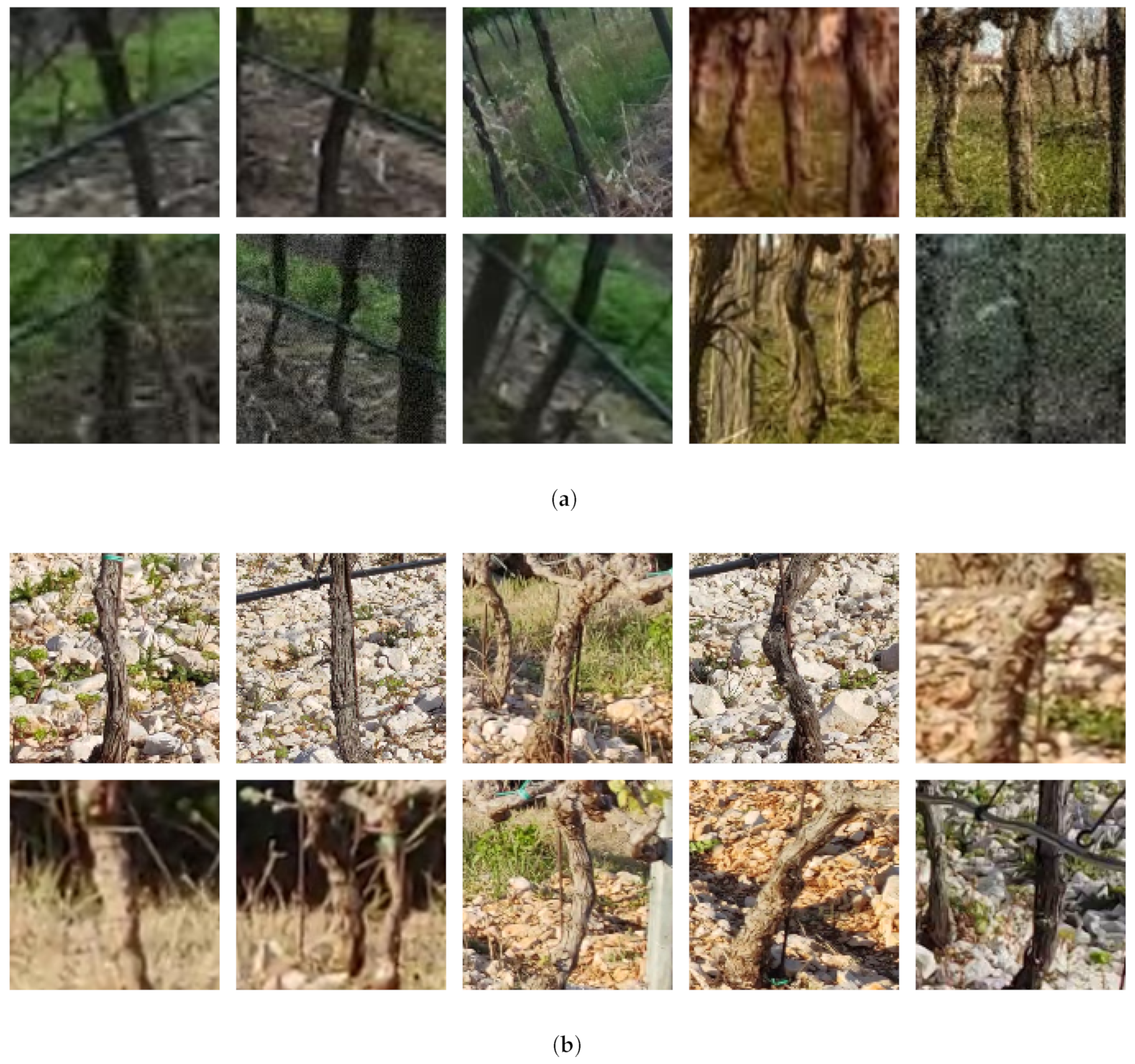 Robotics 13 00020 g006