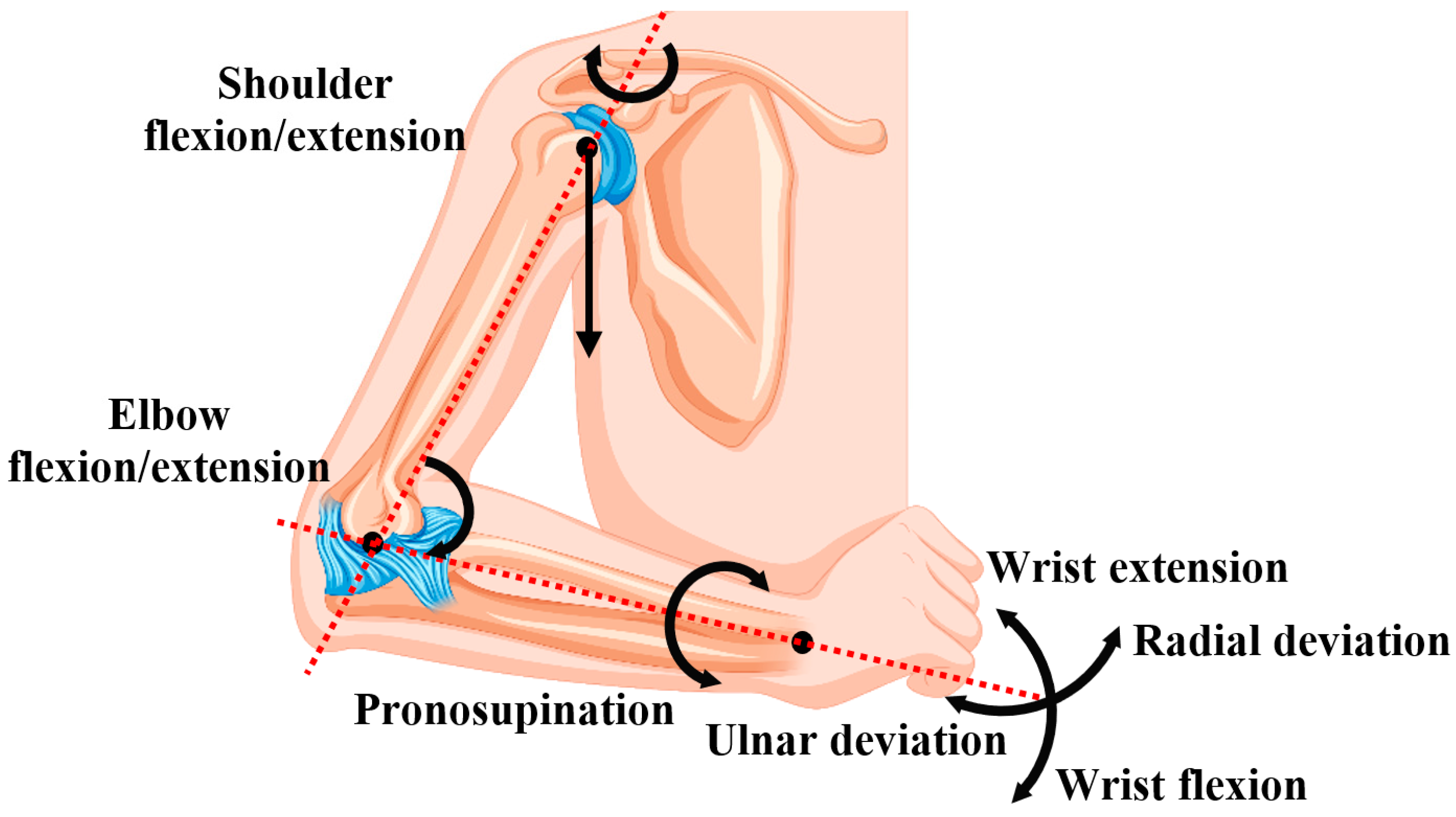Robotics 13 00029 g001