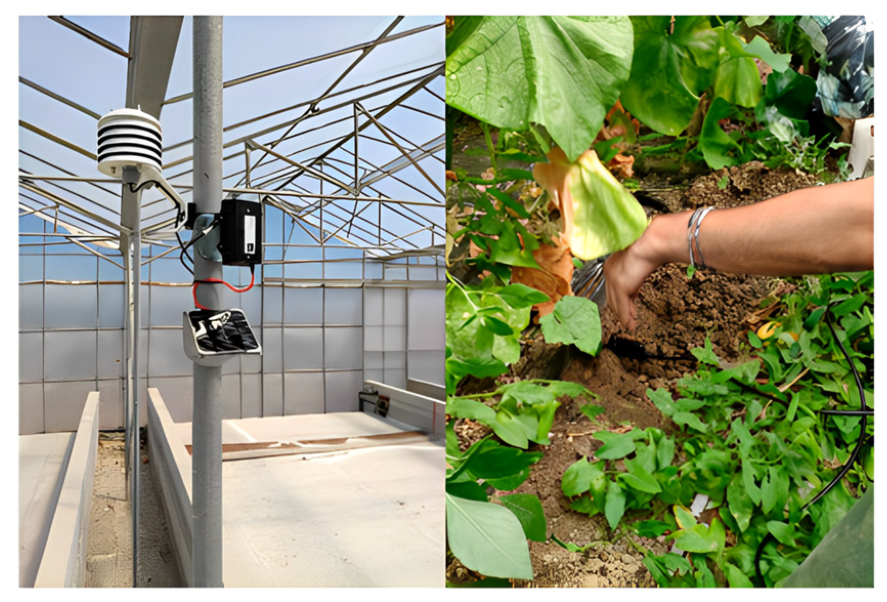 Robotics 13 00033 g005