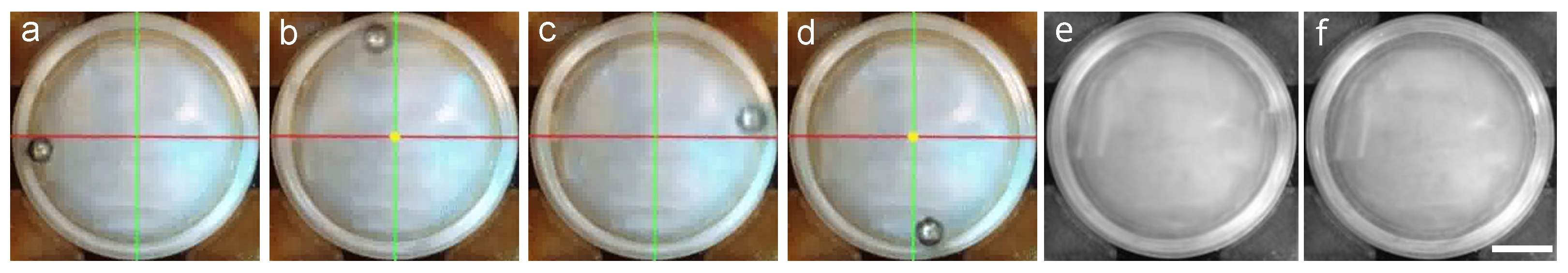 Robotics 13 00039 g003
