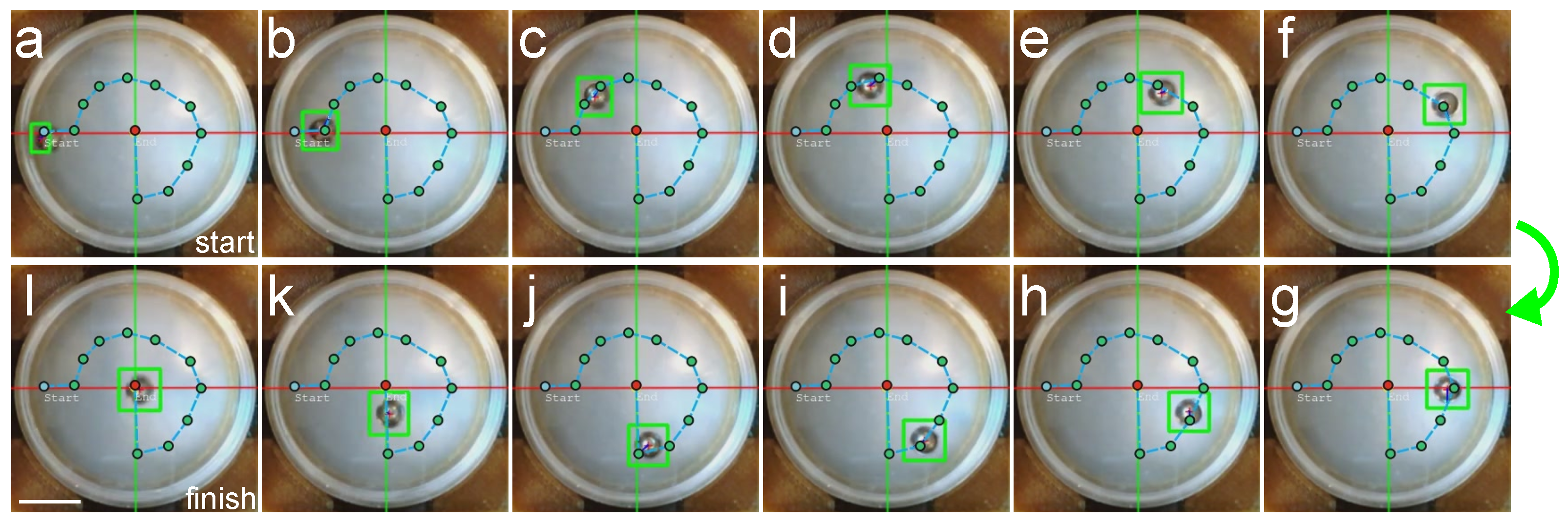 Robotics 13 00039 g011
