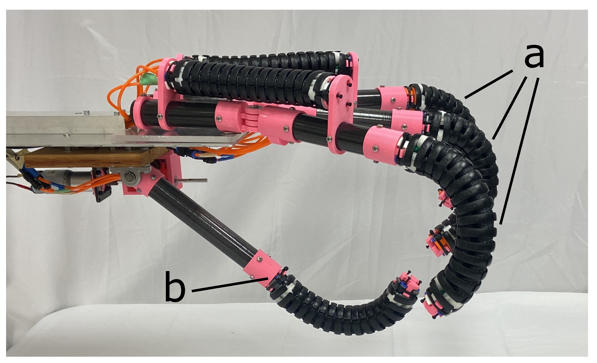 Robotics 13 00052 g002