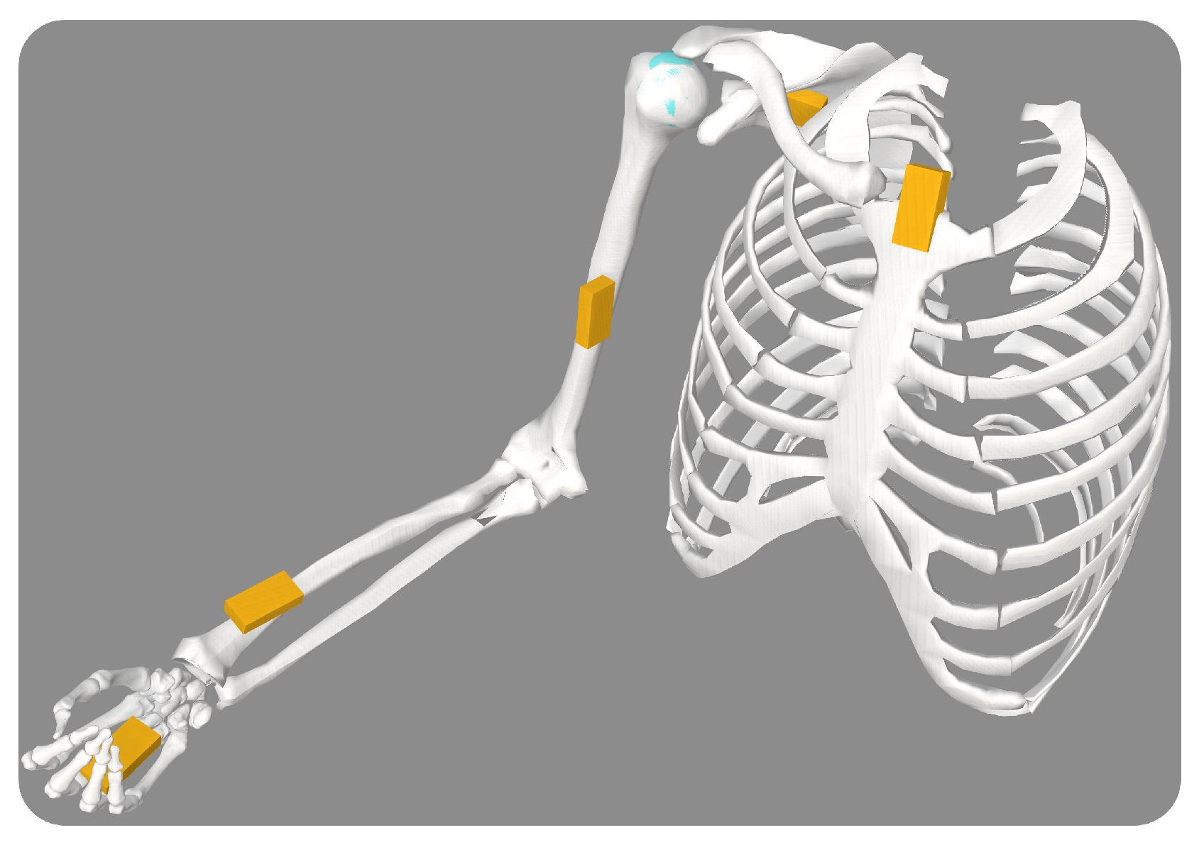 Robotics 13 00060 g003