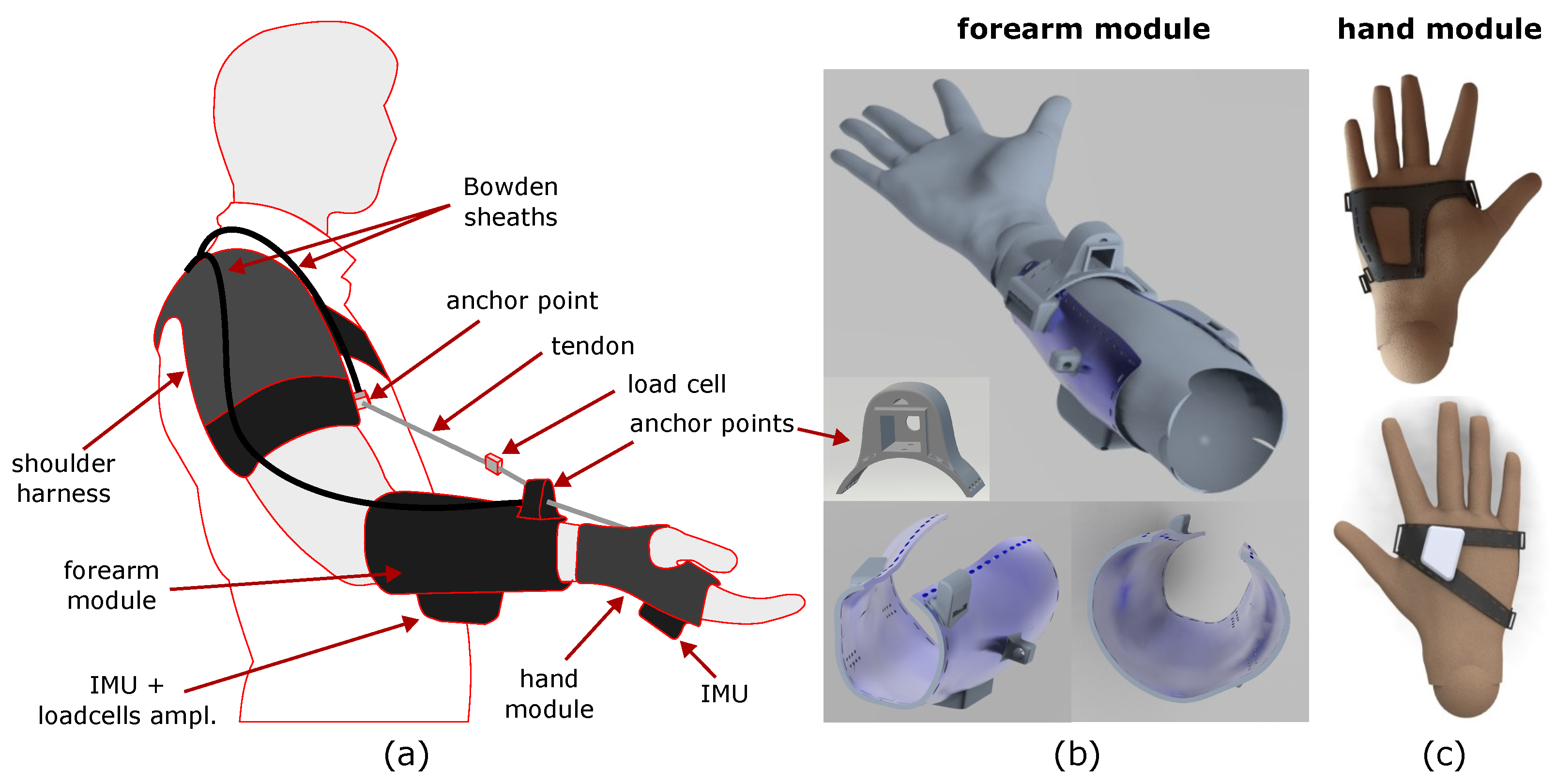 Robotics 13 00060 g005