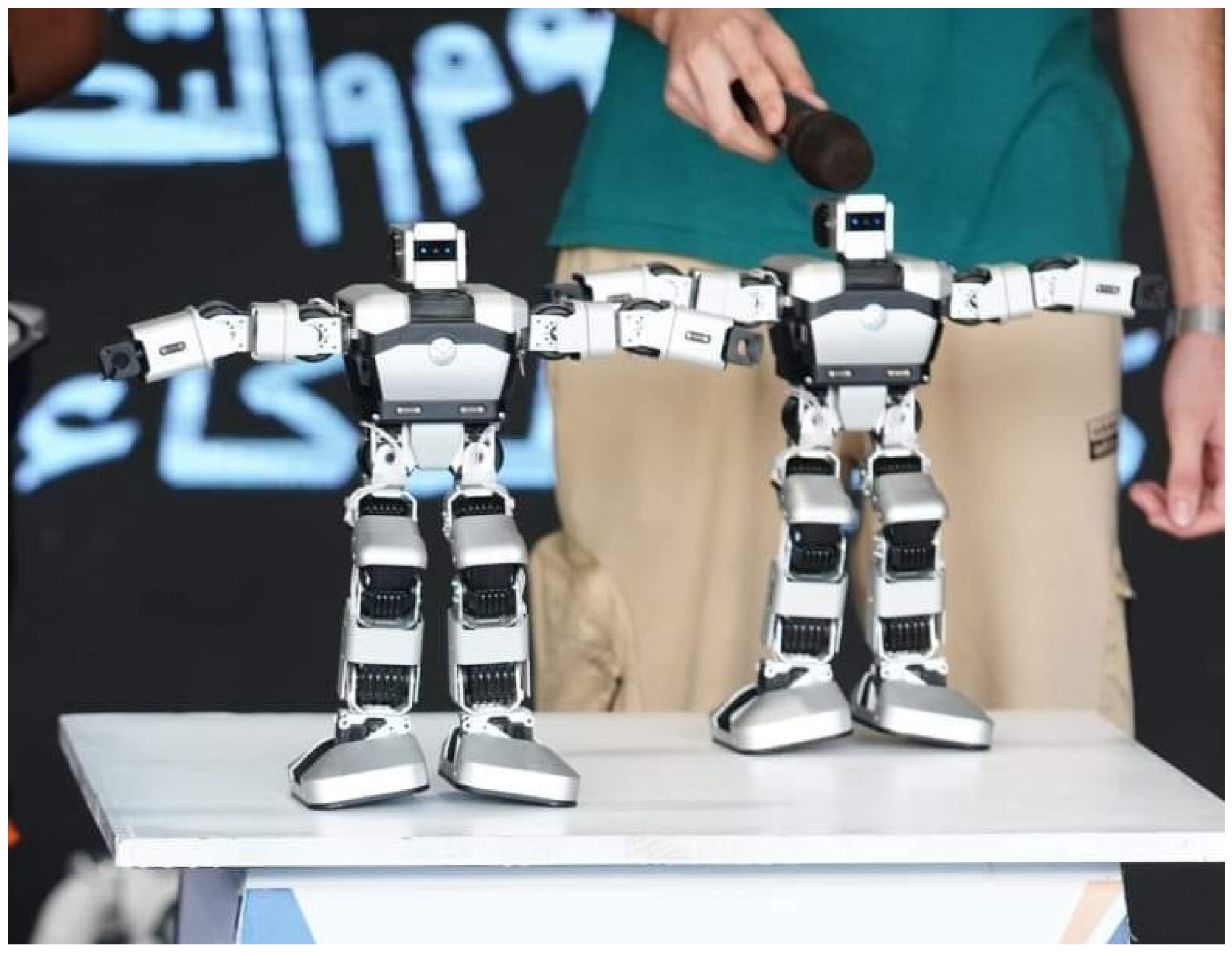 Robotics 13 00066 g045