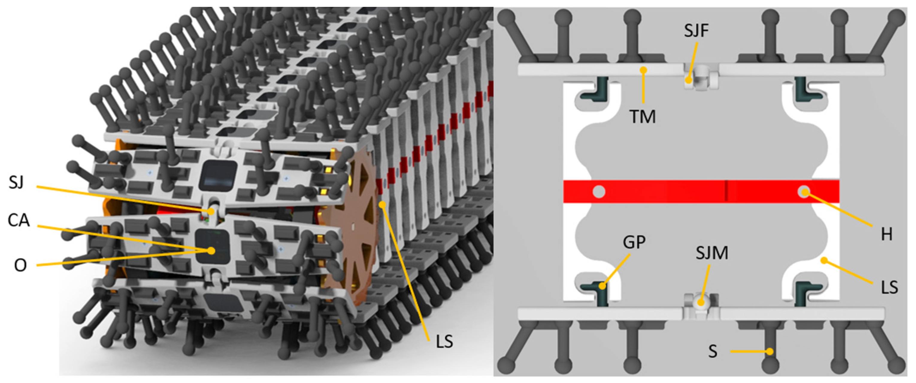 Robotics 13 00076 g005