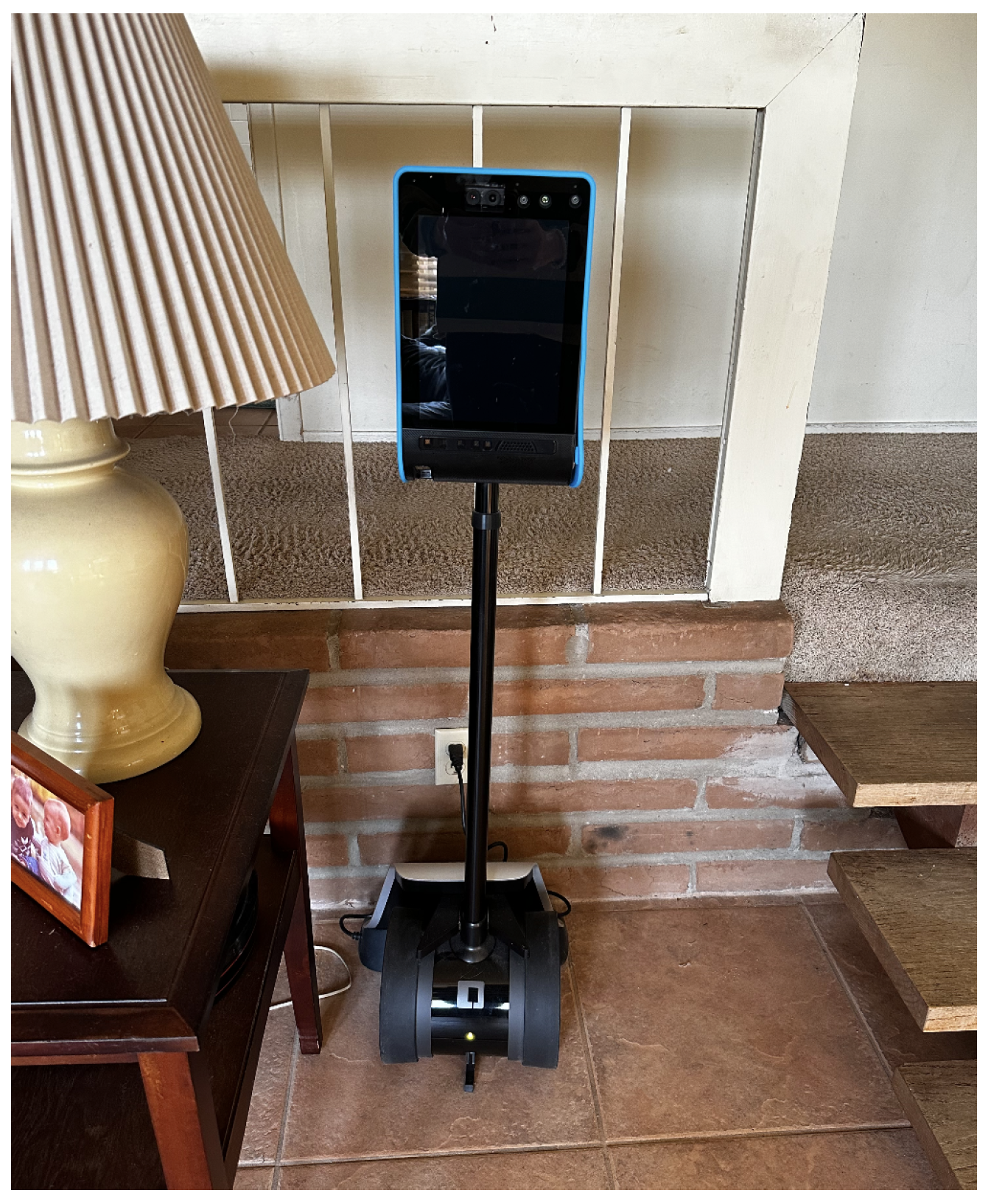 Robotics 13 00095 g001