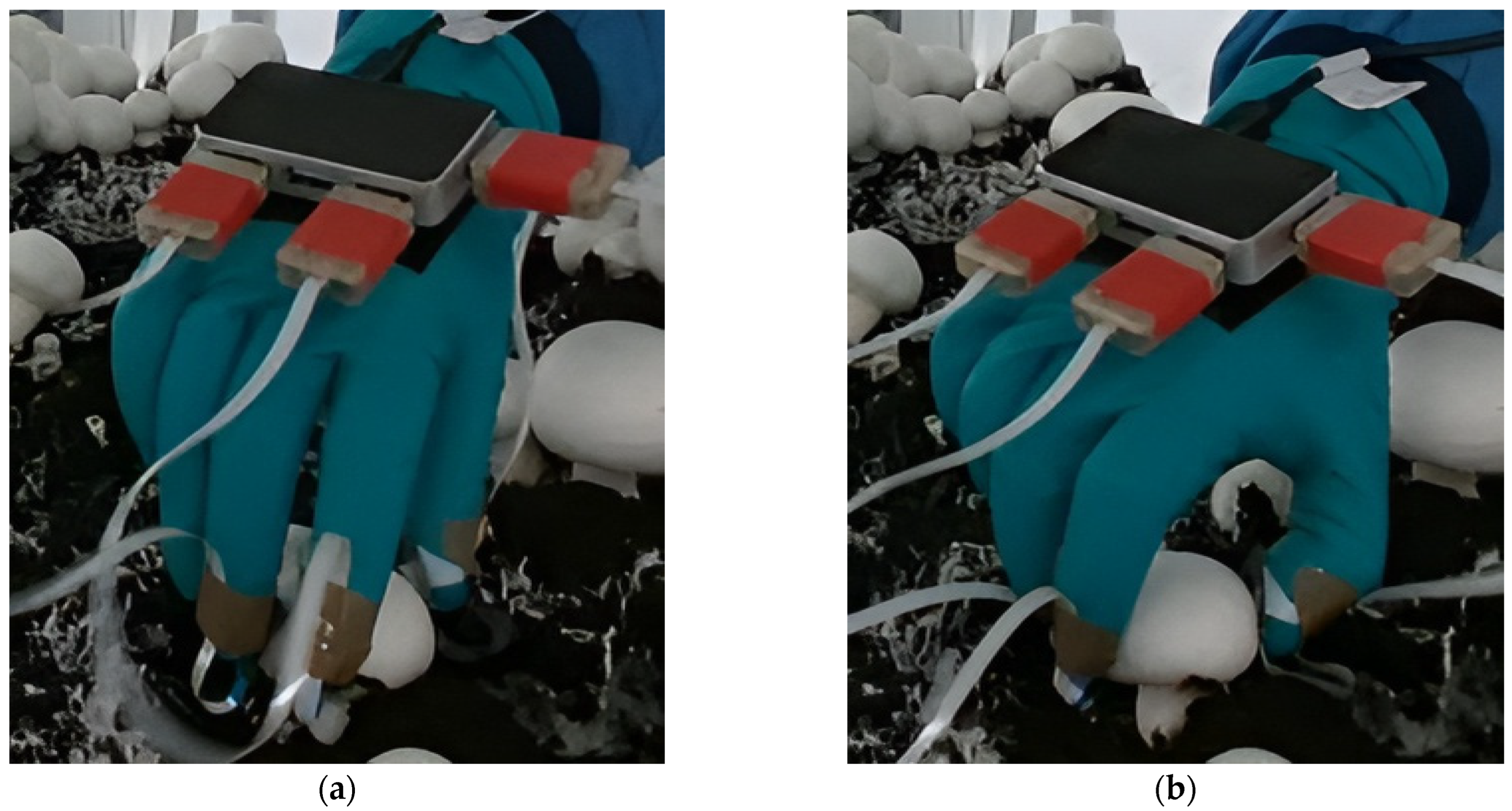 Robotics 13 00098 g004