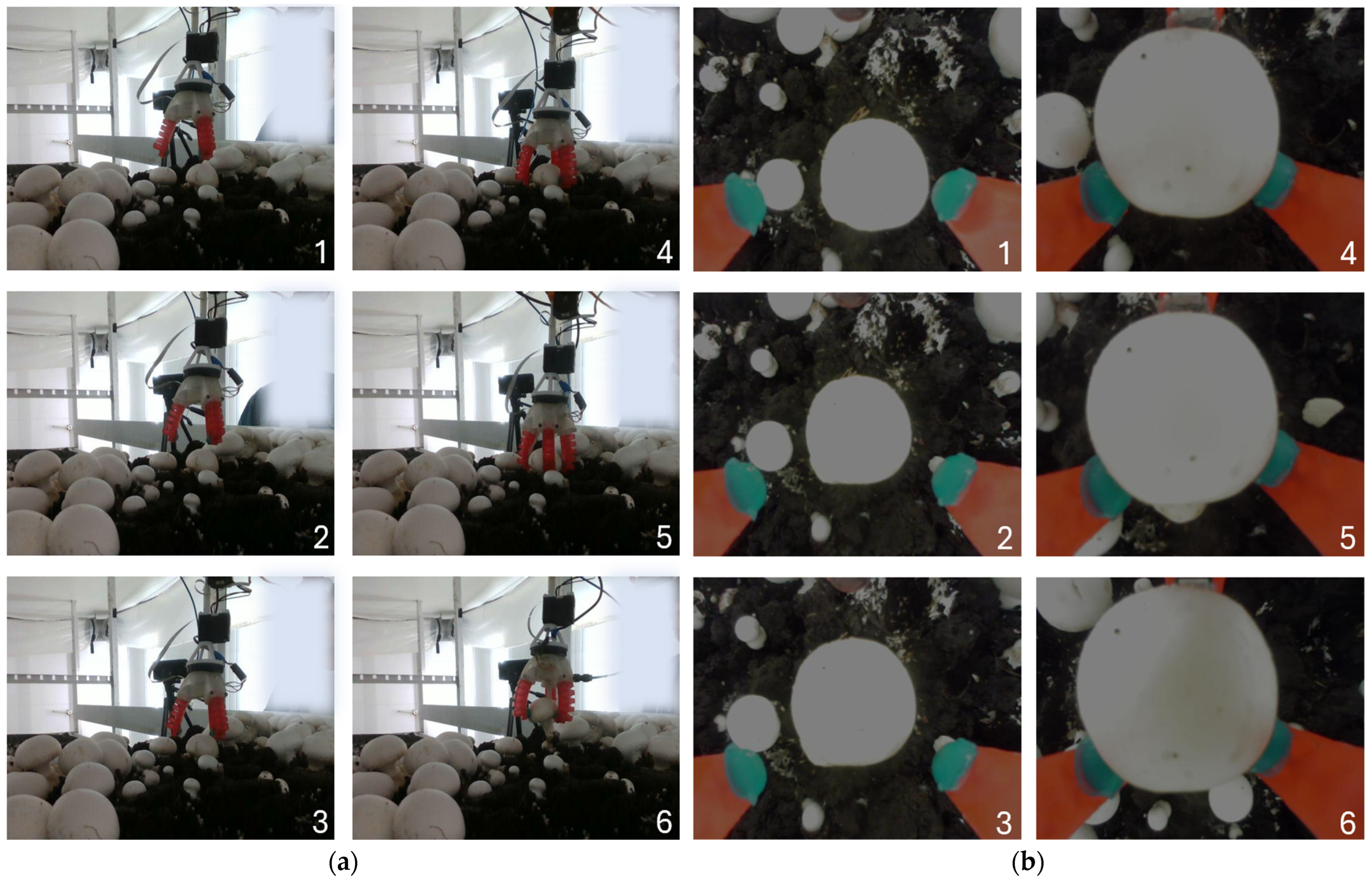 Robotics 13 00098 g009