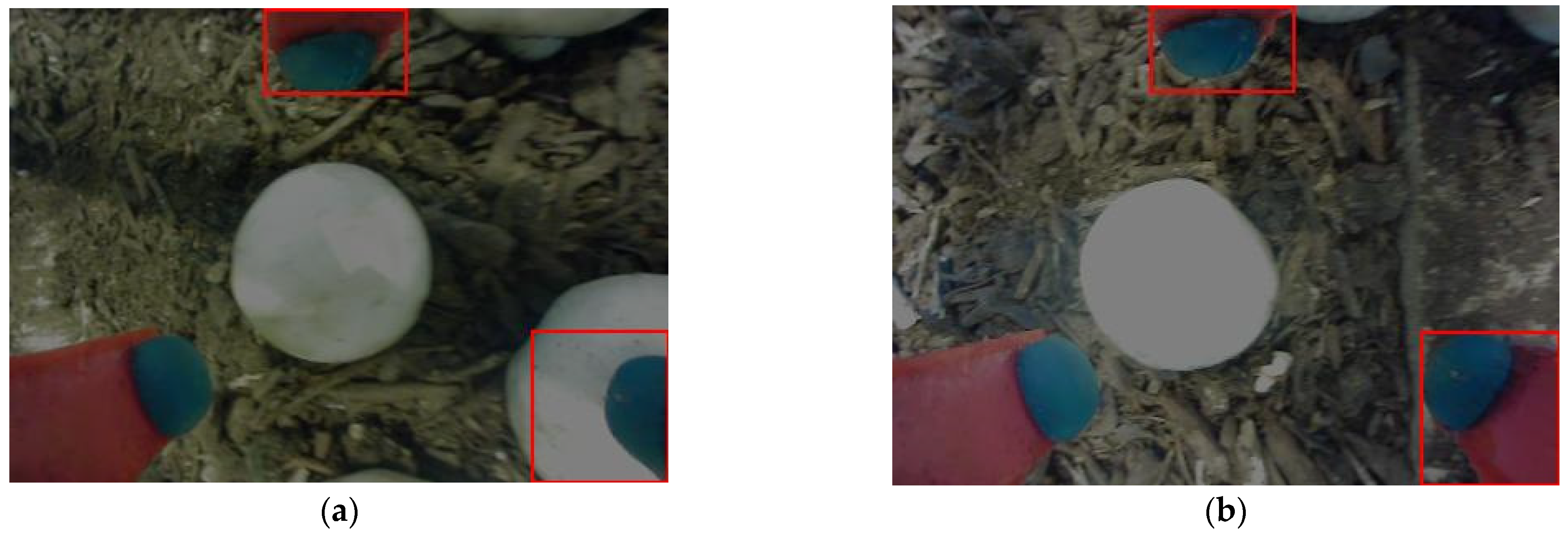 Robotics 13 00098 g013