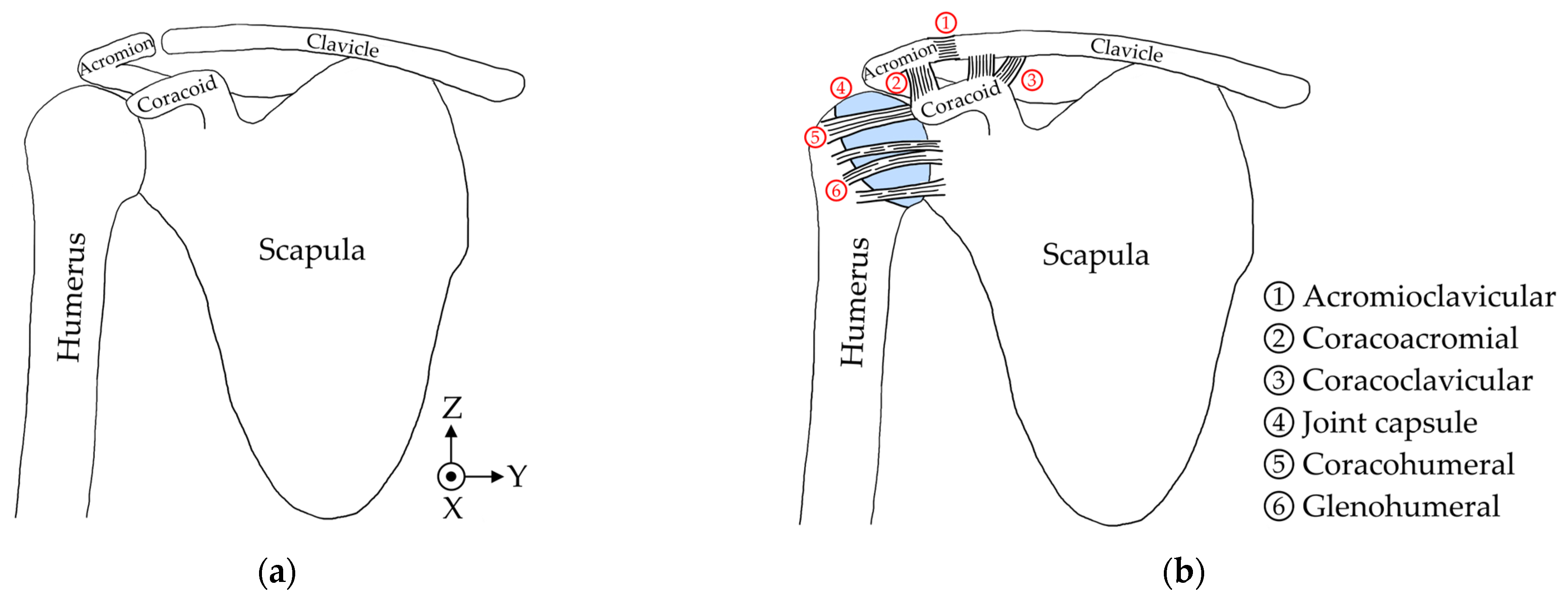 Robotics 14 00012 g001