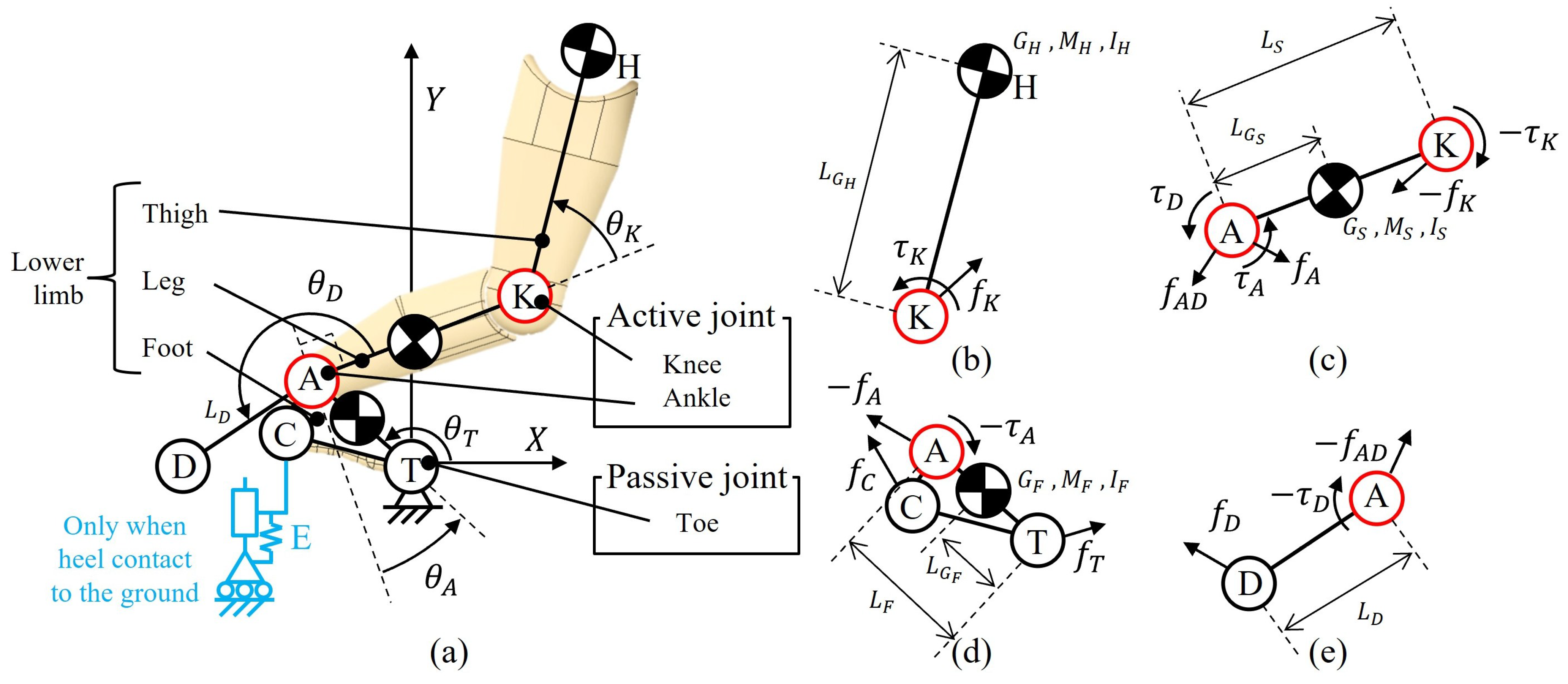 Robotics 14 00020 g005