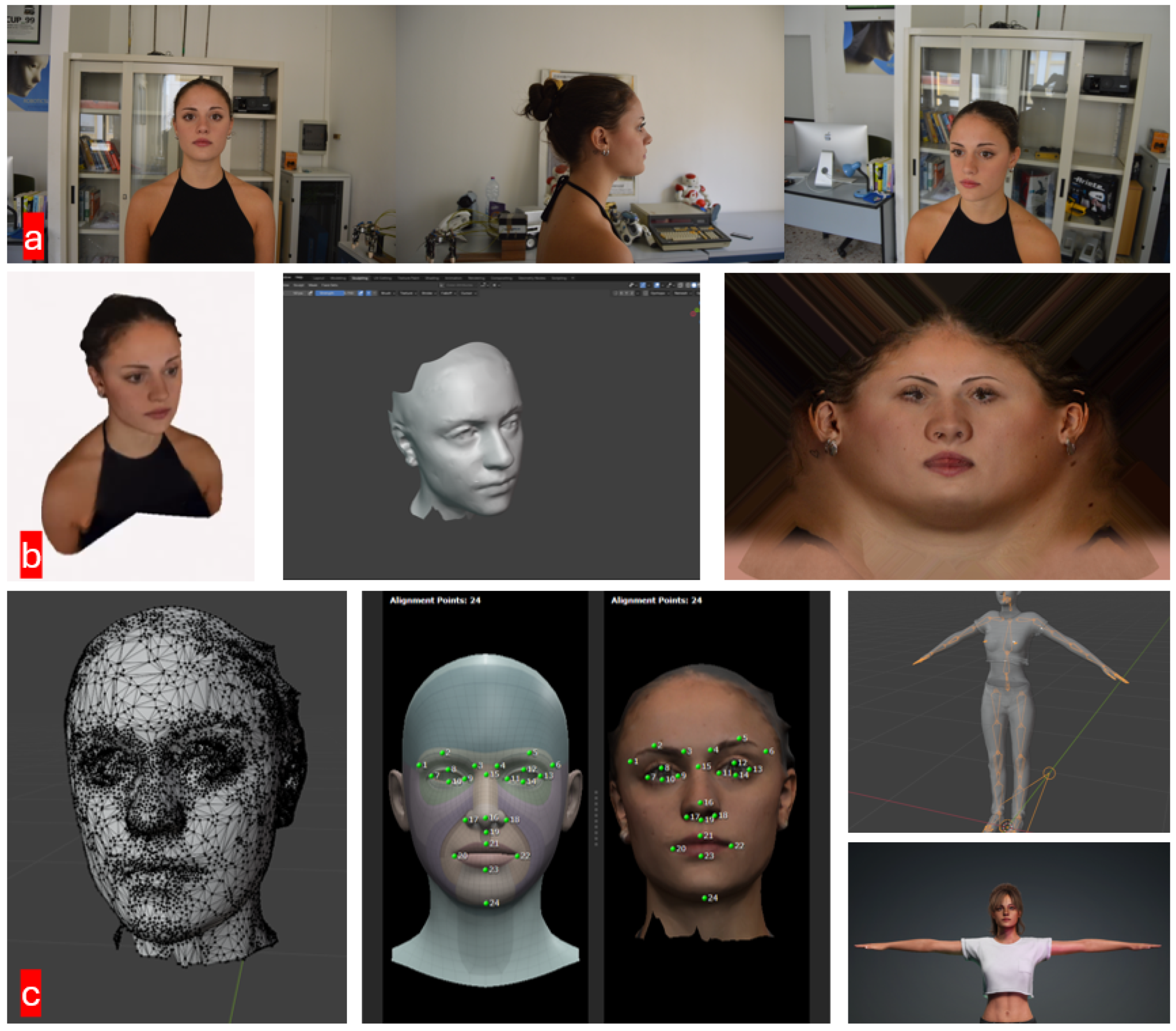 Robotics 14 00033 g001