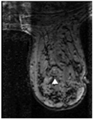 Robotics 14 00078 i001