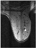 Robotics 14 00078 i002