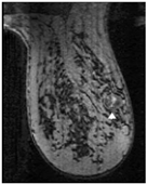 Robotics 14 00078 i003