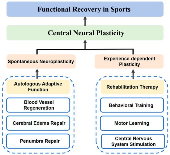 Robotics 14 00081 g003