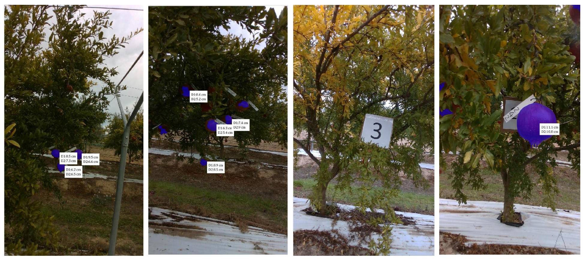 Robotics 14 00131 g010 Robotics 14 00131 g010