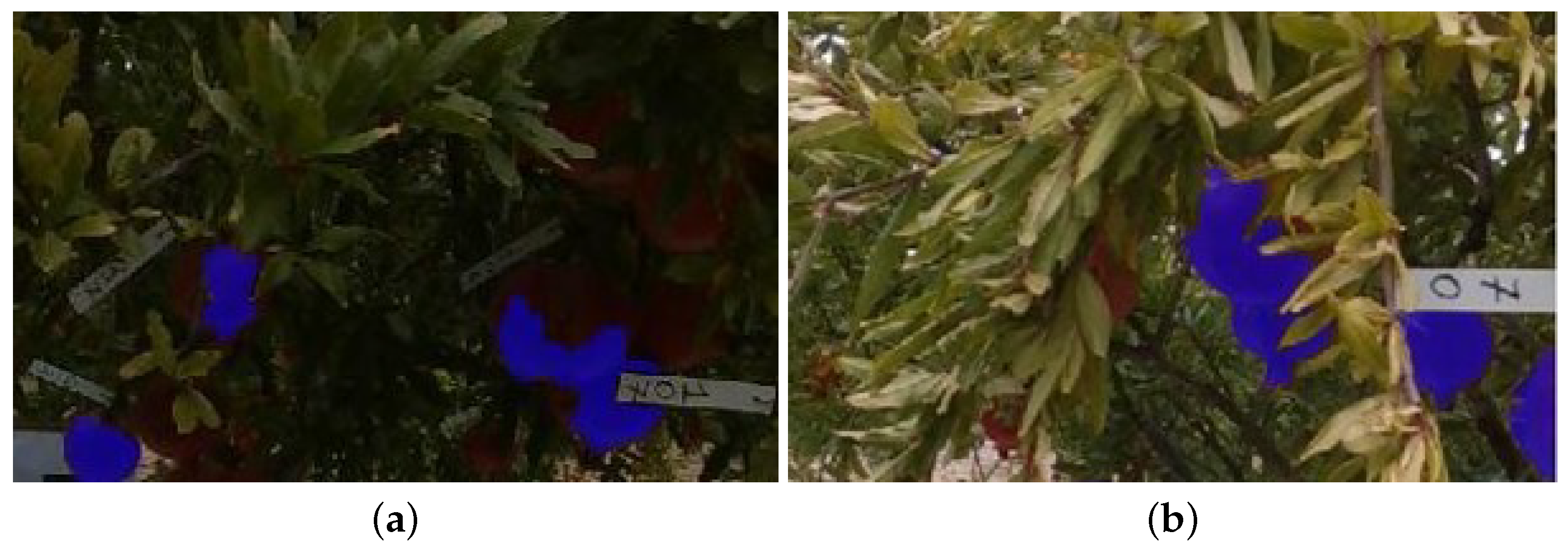 Robotics 14 00131 g013 Robotics 14 00131 g013