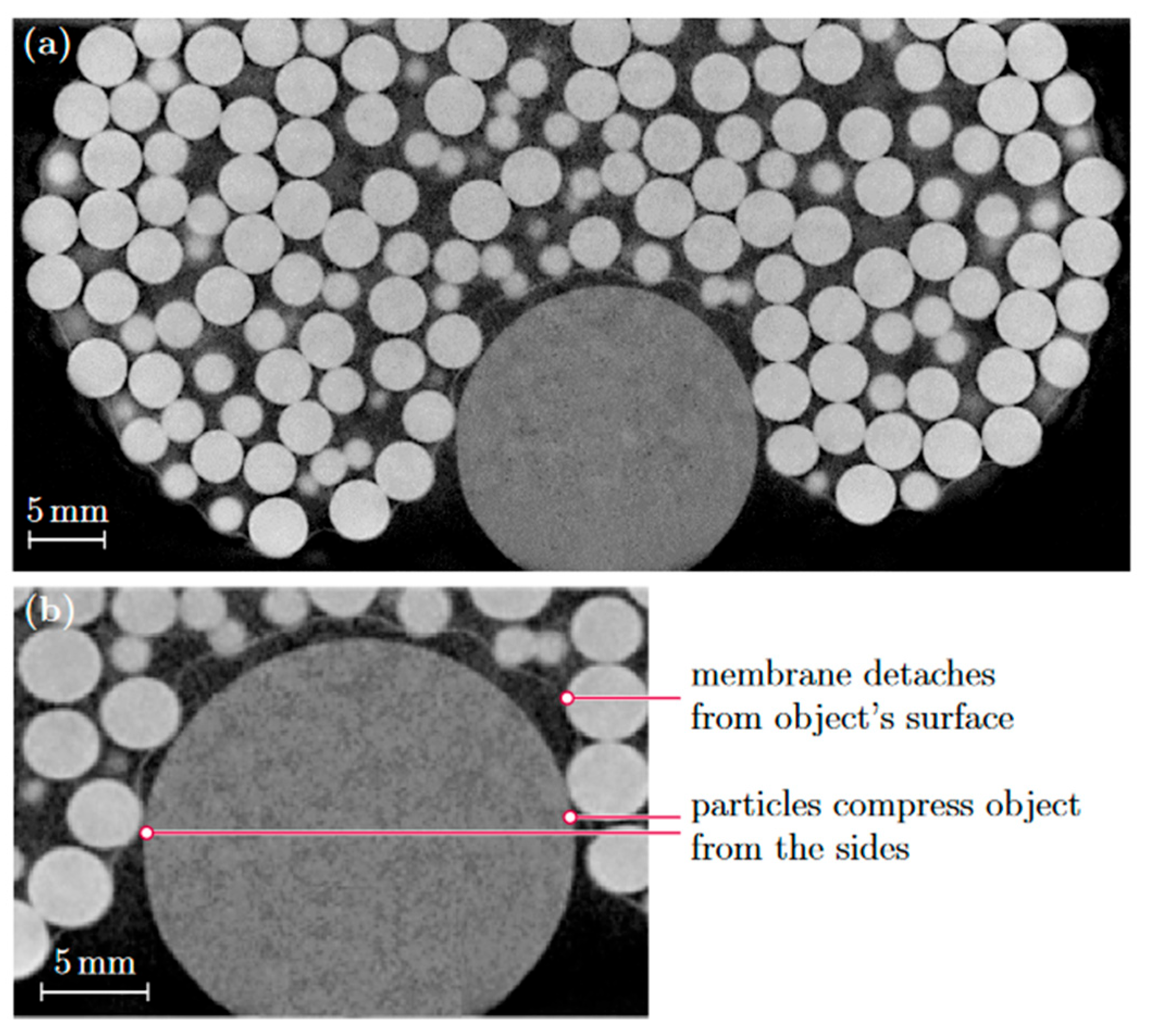 Robotics 14 00132 g005