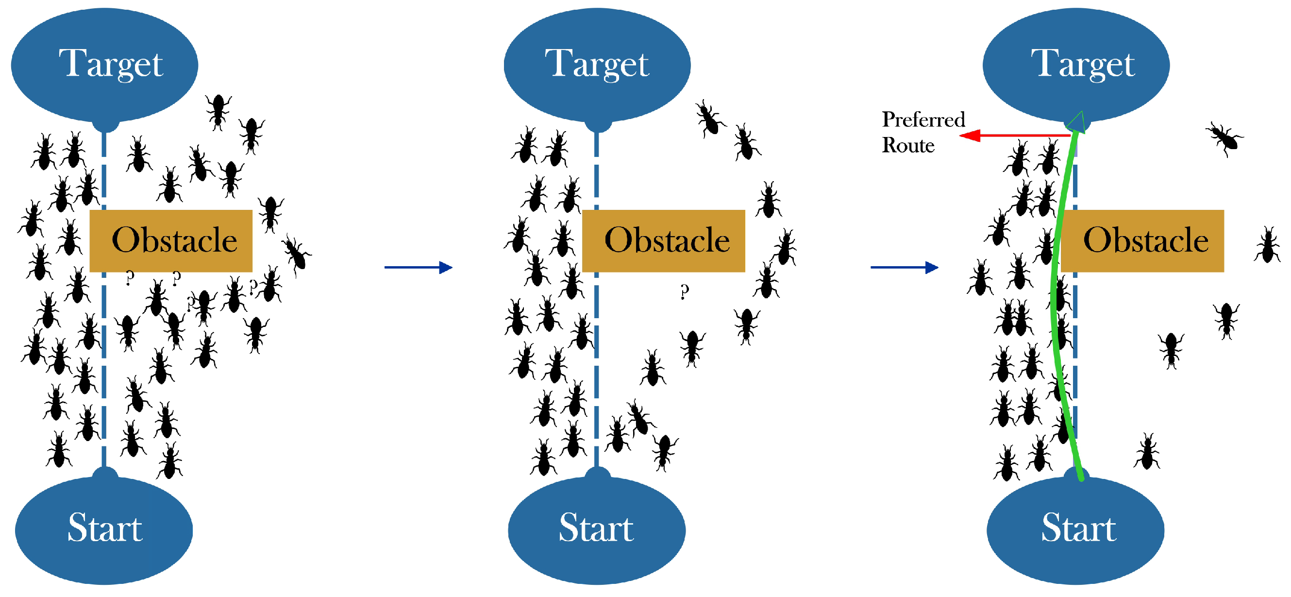 Robotics 15 00023 g009